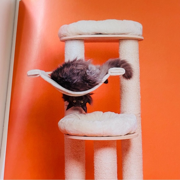 For Cats Only Pascale Weber Hatje Cantz Hardcover Cat Lovers Gift Book - Picture 2 of 13